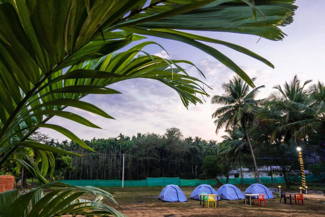 Fortune River Resort Dandeli Exteriér fotografie