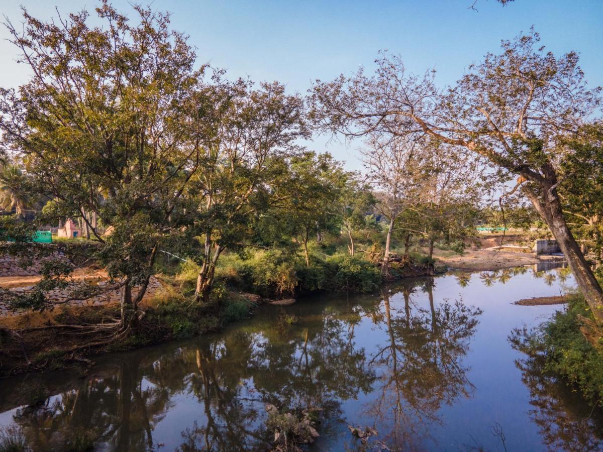 Fortune River Resort Dandeli Exteriér fotografie