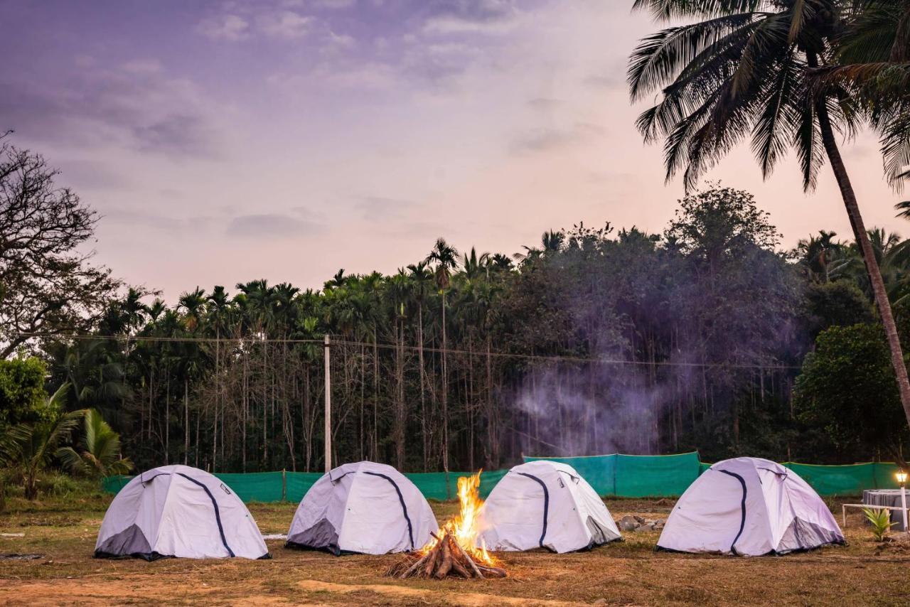 Fortune River Resort Dandeli Exteriér fotografie